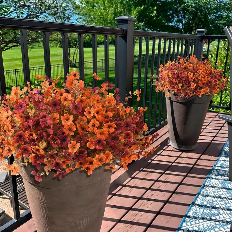 EverBrite Sunset Mums - A Perfect Fall Porch, Guaranteed - BUY 2 GET 2 FREE
