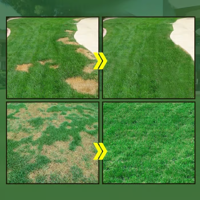 LiquaLawn - Spray On a Perfect Lawn in Minutes - 50% OFF
