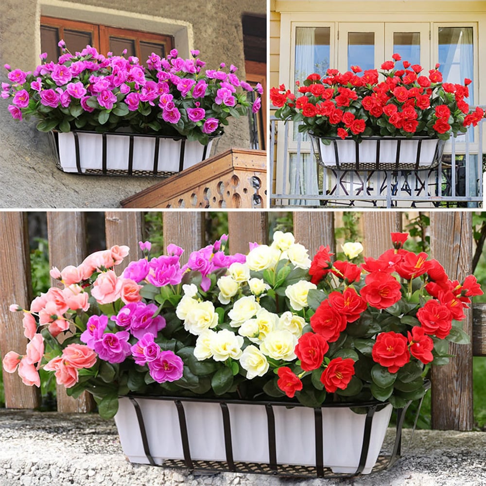 EverBloom Azaleas - A Perfect Garden, Zero Work + 1+1 FREE
