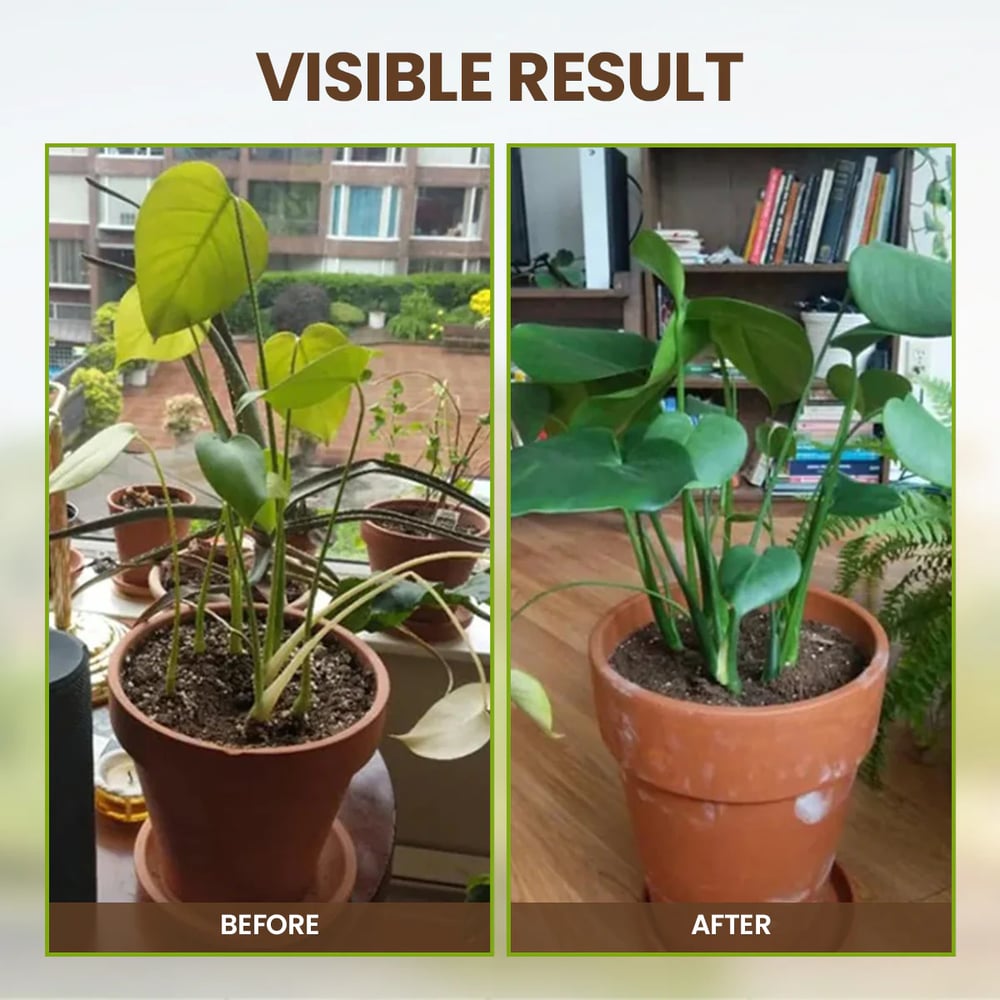 Root-Revive Soil Enhancer - Healthier Plants, Higher Yields + 50% OFF