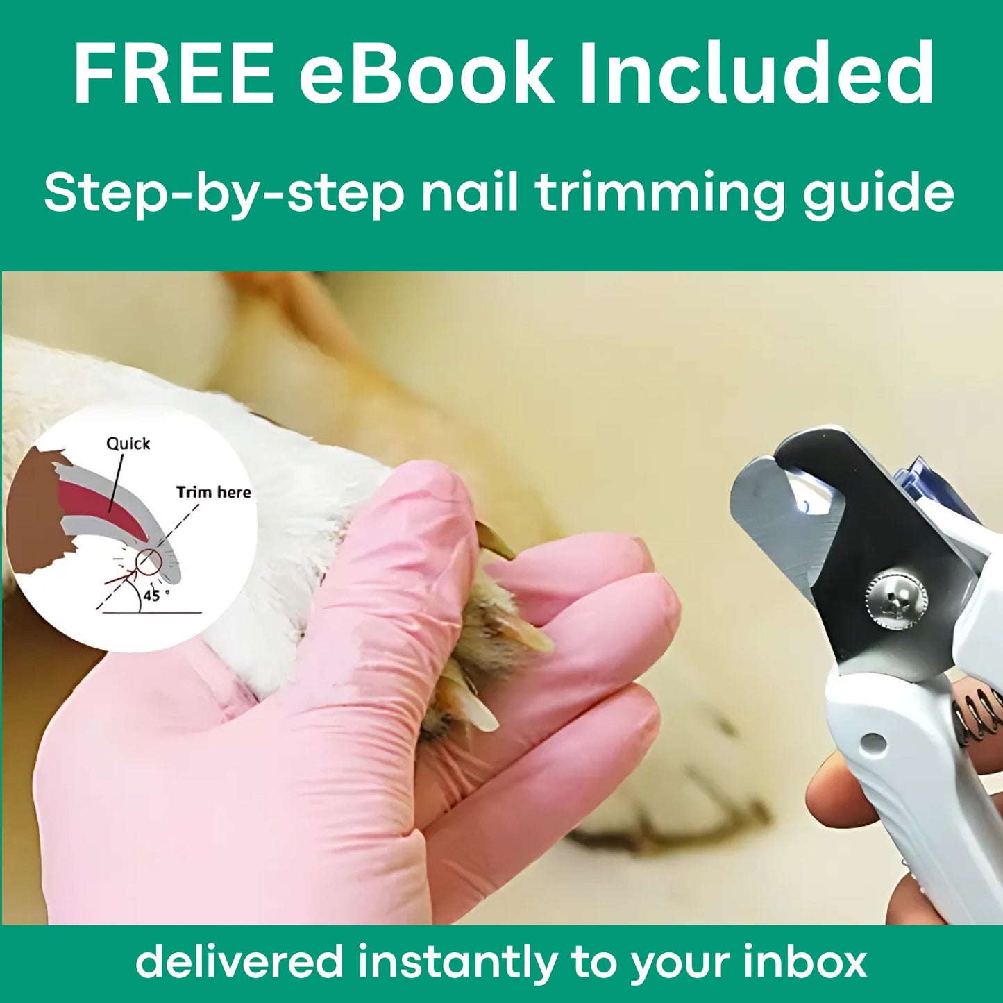 LumaClip - A Fear-Free Nail Trim. + 50% OFF TODAY