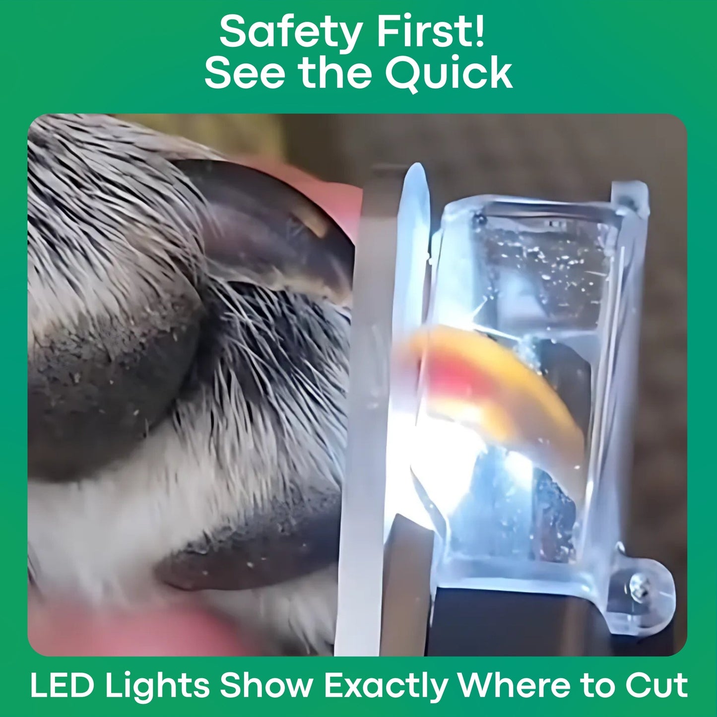 LumaClip - A Fear-Free Nail Trim. + 50% OFF TODAY