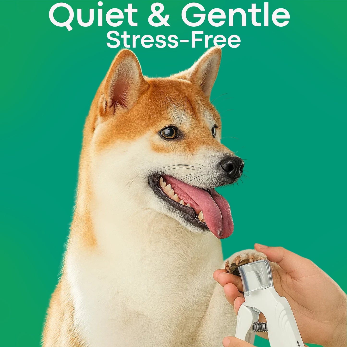 LumaClip - A Fear-Free Nail Trim. + 50% OFF TODAY