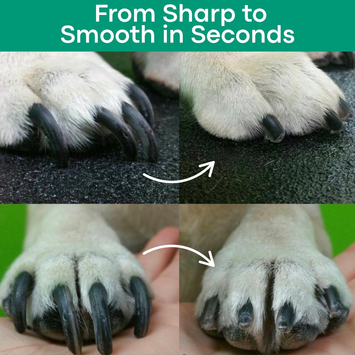LumaClip - A Fear-Free Nail Trim. + 50% OFF TODAY