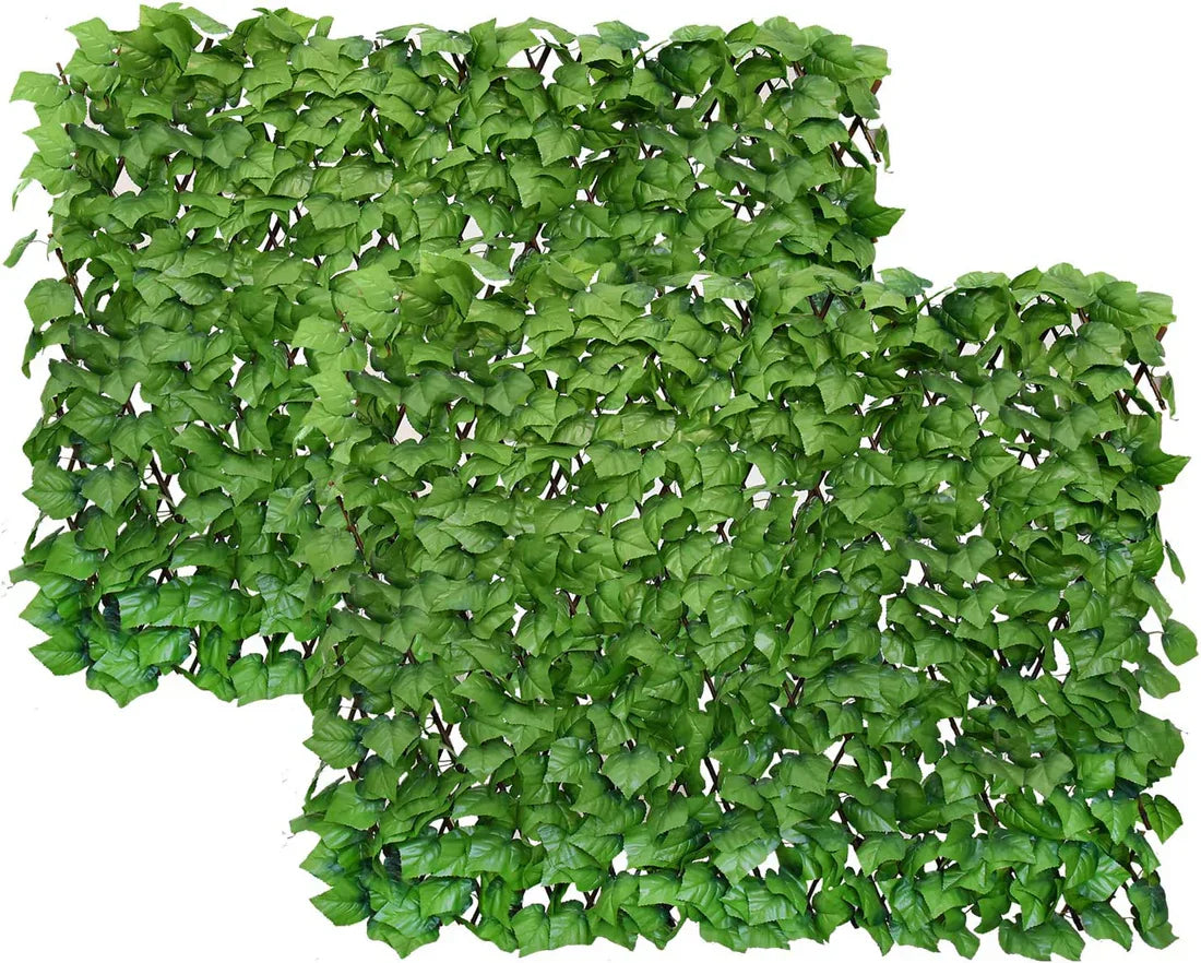 The EverShield Privacy Fence - Your Instant Green Retreat + 50% OFF