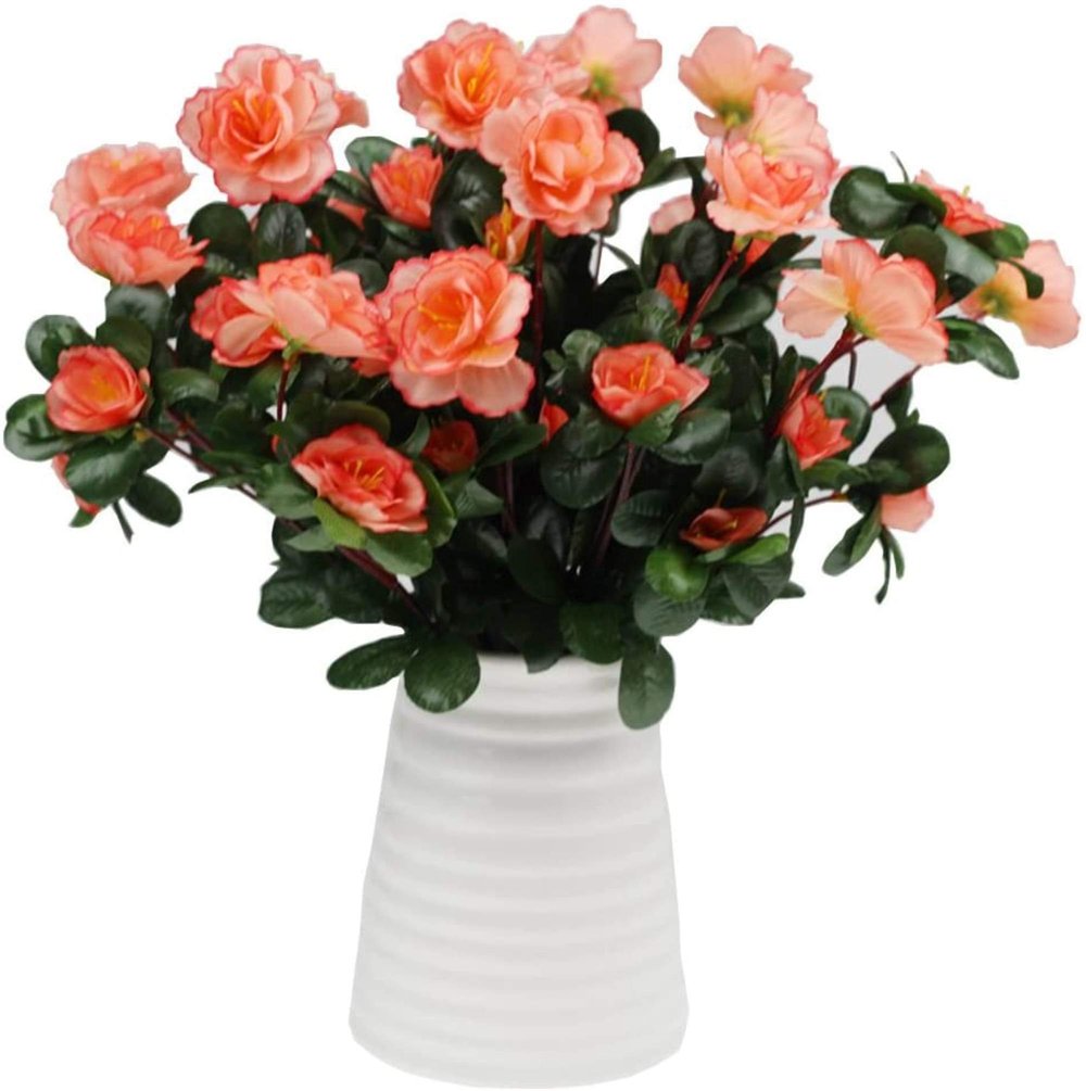 EverBloom Azaleas - A Perfect Garden, Zero Work + 1+1 FREE