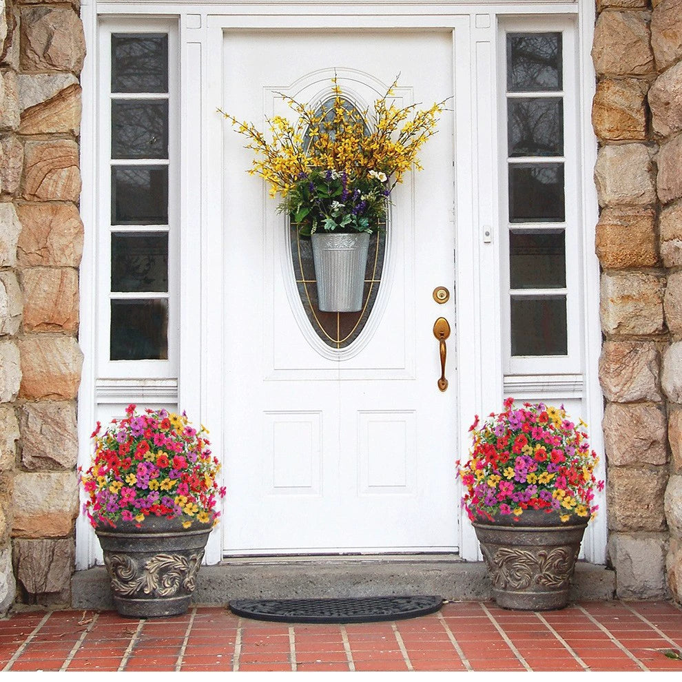 EverGreen Cedar Tree - Instant Curb Appeal + 50% OFF