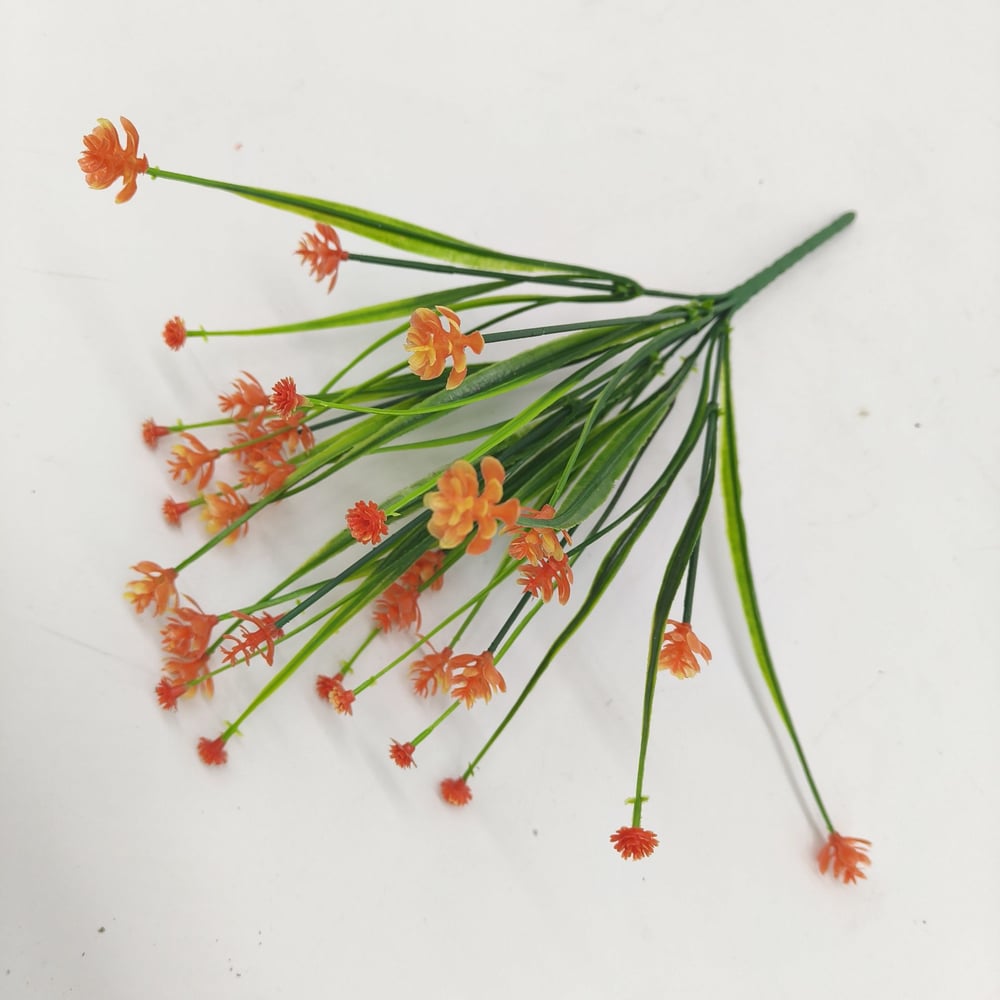 EverLush Botanicals - A Perfect Garden Instantly. - 1+1 FREE
