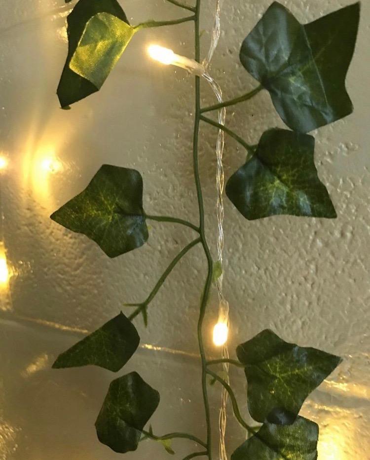 The Enchanted Vine Lights - Your Dream Room, Instantly + 50% OFF