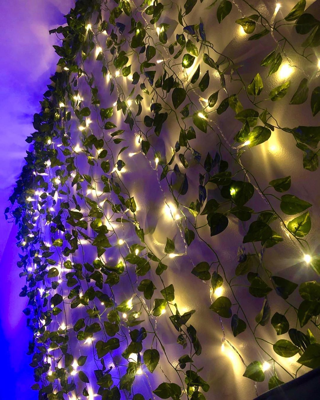 The Enchanted Vine Lights - Your Dream Room, Instantly + 50% OFF