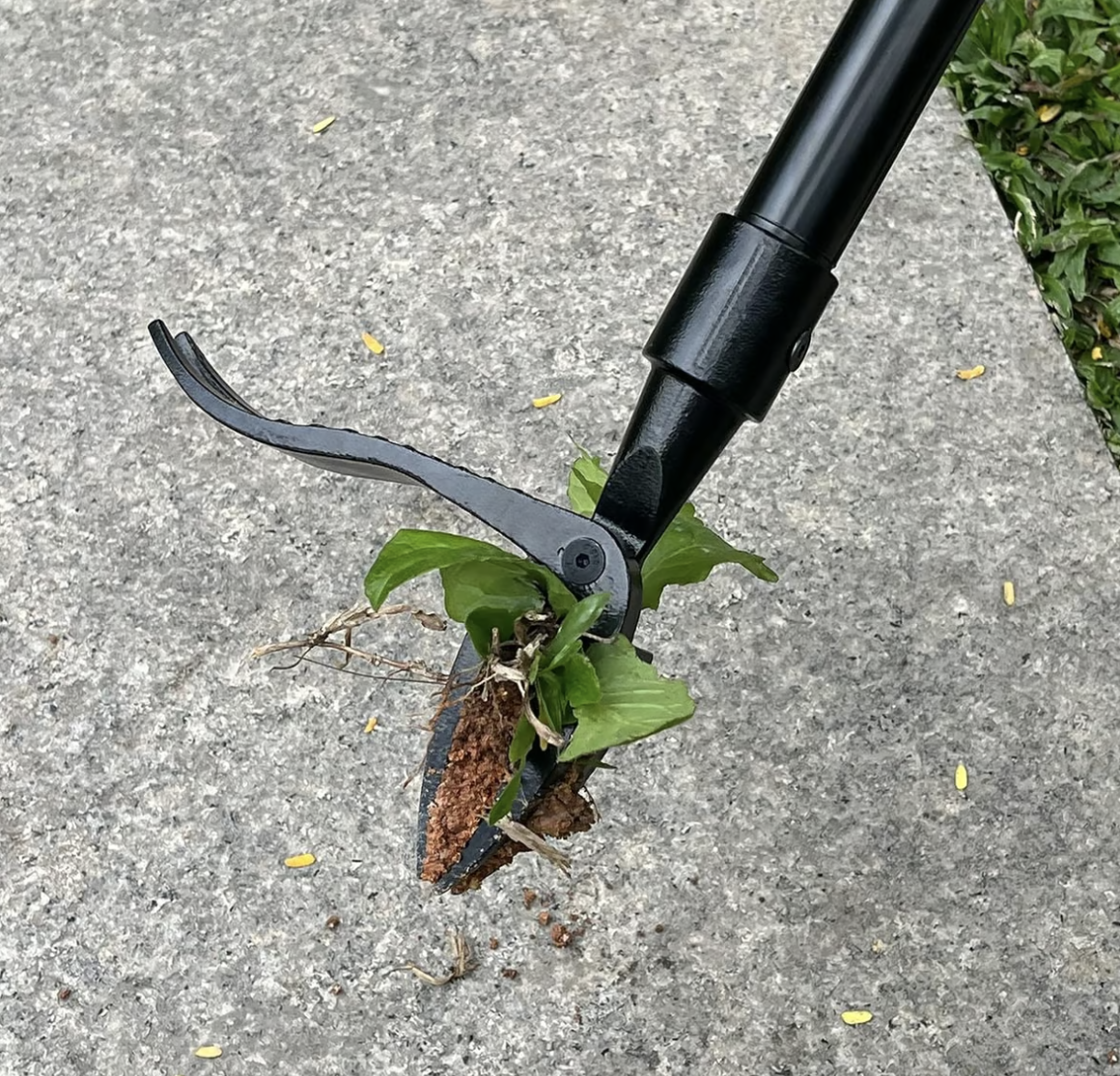 WeedAnnihilator Pro- Dream Garden, Effortlessly Free of Stubborn Weeds 50 % OFF