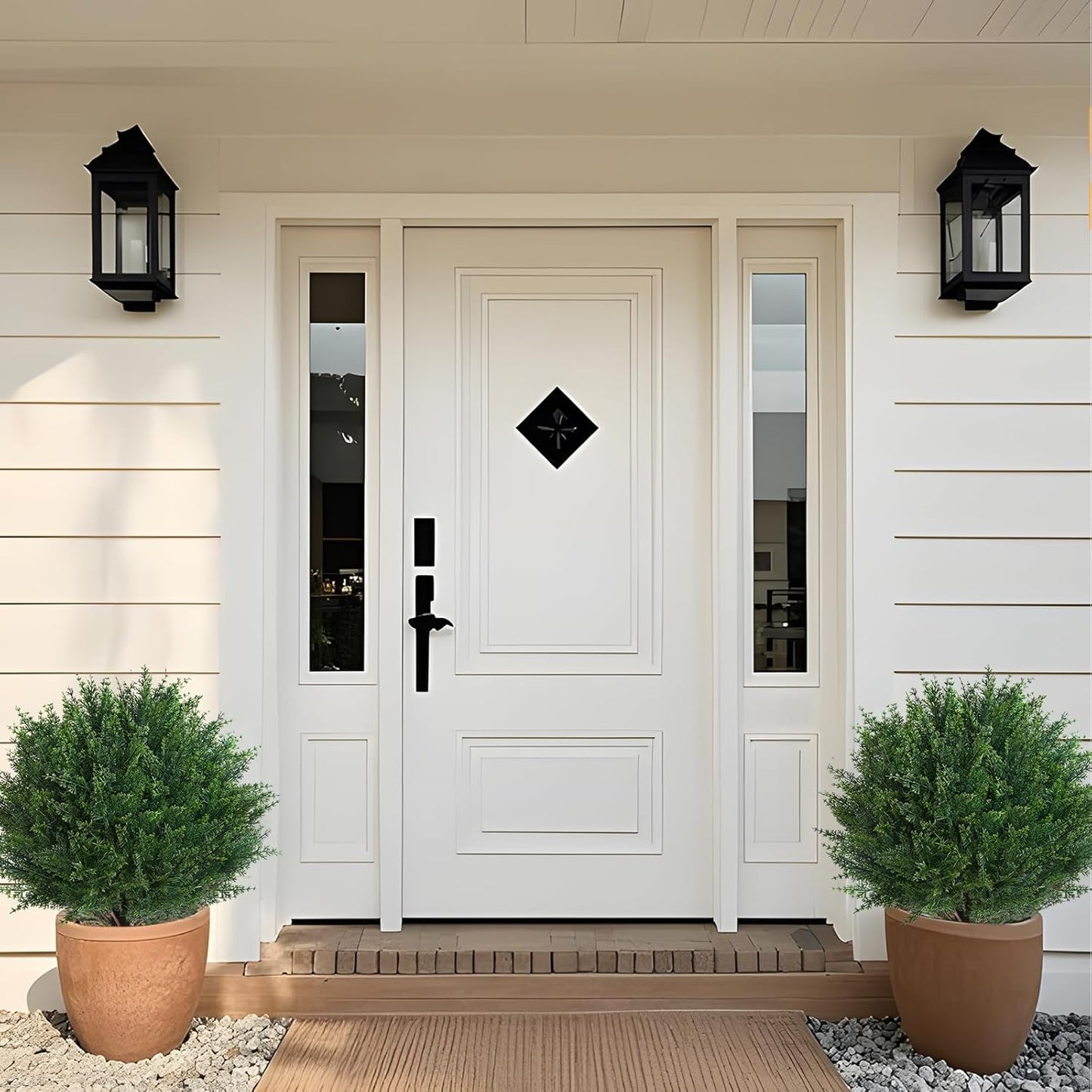 EverGreen Cedar Tree - Instant Curb Appeal + 50% OFF