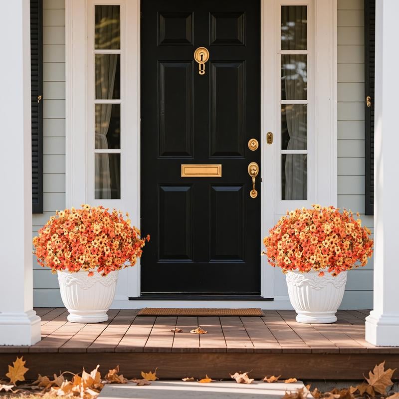 EverBrite Sunset Mums - A Perfect Fall Porch, Guaranteed - BUY 2 GET 2 FREE