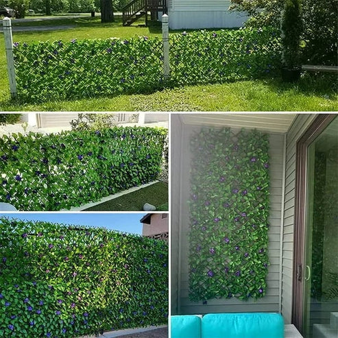 The EverShield Privacy Fence - Your Instant Green Retreat + 50% OFF