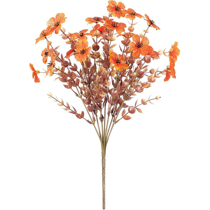 EverBrite Sunset Mums - A Perfect Fall Porch, Guaranteed - BUY 2 GET 2 FREE