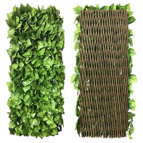 The EverShield Privacy Fence - Your Instant Green Retreat + 50% OFF