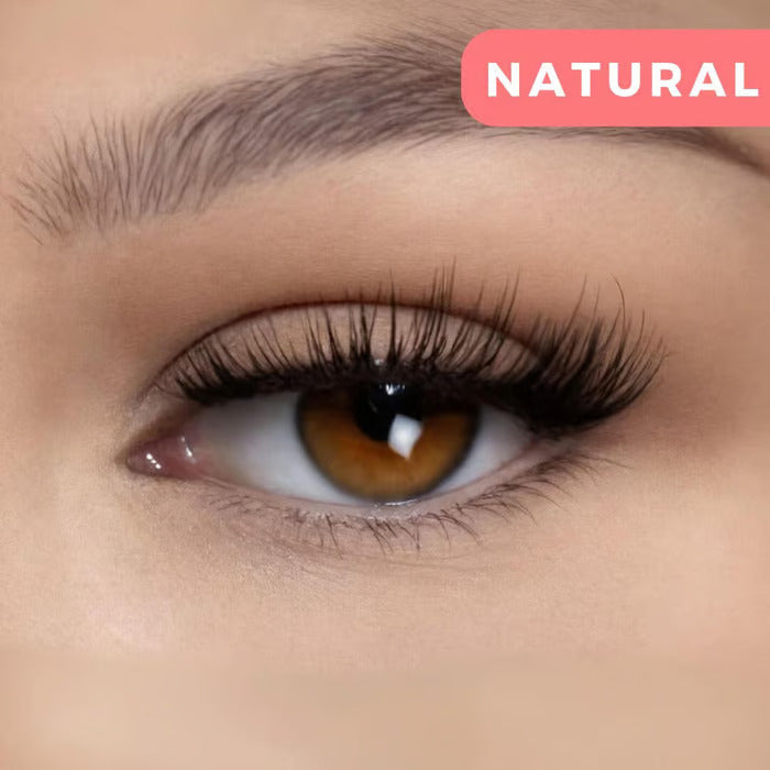 1 + 1 Free l Magnelash - Get Flawless Lashes in Seconds