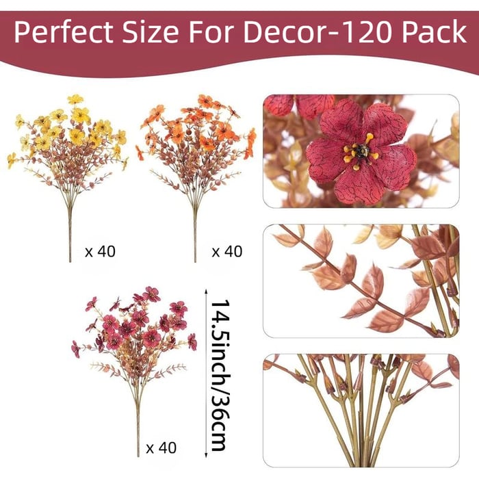 EverBrite Sunset Mums - A Perfect Fall Porch, Guaranteed - BUY 2 GET 2 FREE