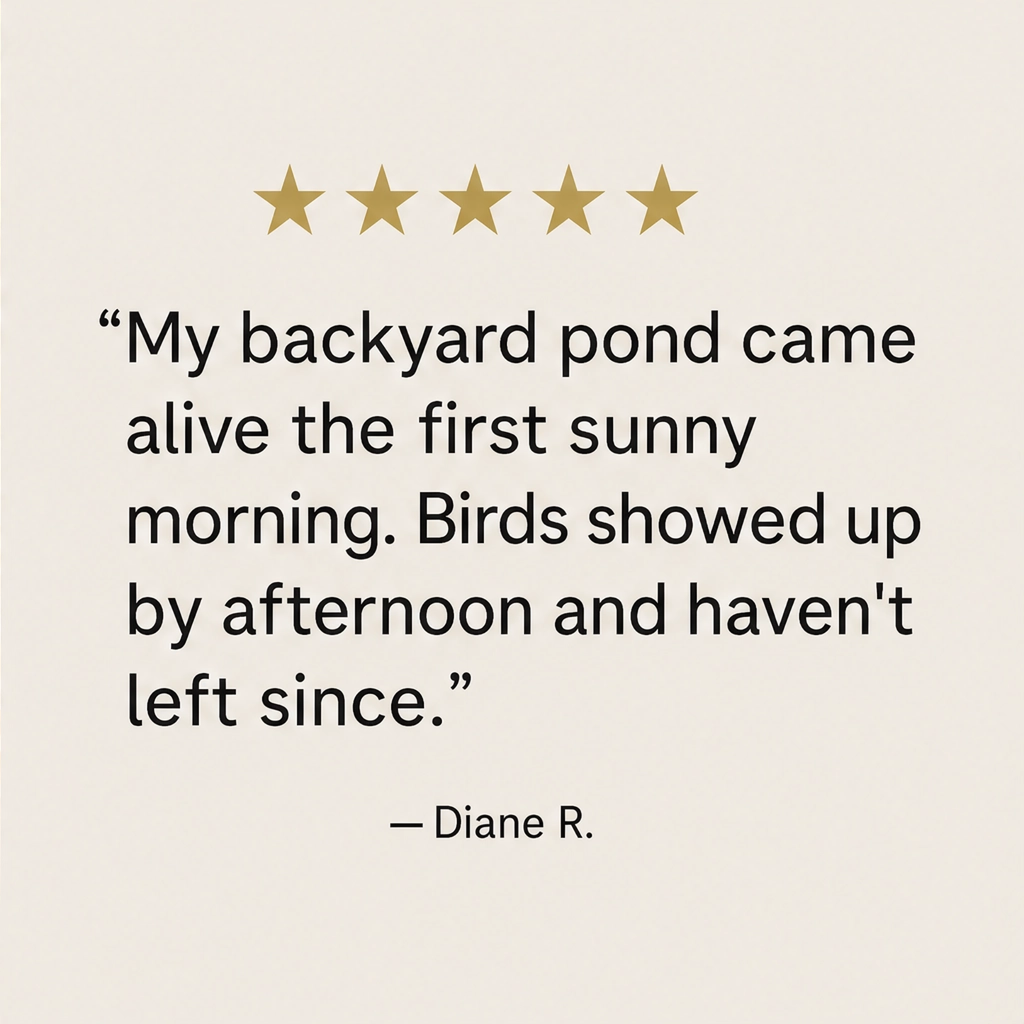 Wrenbrook โ Anti-Drift Solar Fountain Pump for Birdbaths & Ponds + 50% OFF