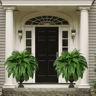 Forever Fresh Fern – Lush Greenery That Lasts Forever - 60% OFF