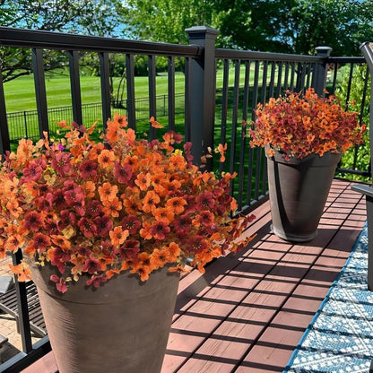 EverBrite Sunset Mums - A Perfect Fall Porch, Guaranteed - BUY 2 GET 2 FREE
