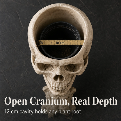 Vertebloom – Gothic Skull & Spine Statement Planter for Year-Round Decor + 50% OFF