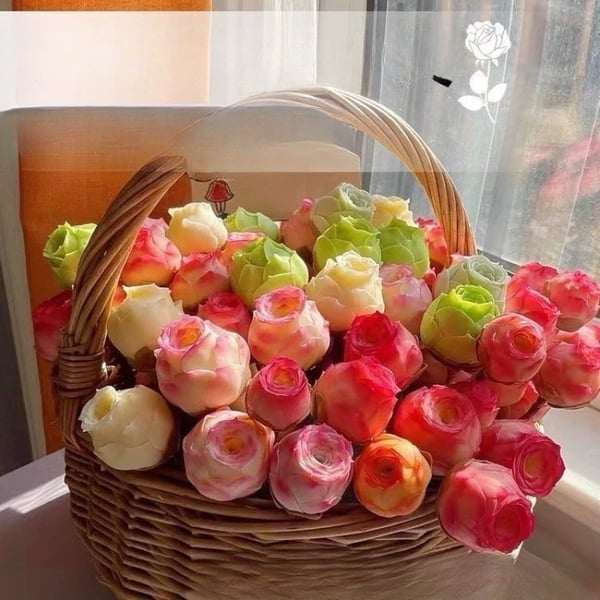 The Everose Succulent - The Rose That Never Dies - 50% OFF