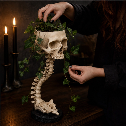 Vertebloom – Gothic Skull & Spine Statement Planter for Year-Round Decor + 50% OFF