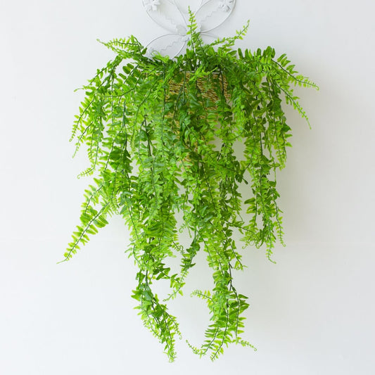 The EverLush Hanging Vine - A Perfect Plant, No Maintenance - 1+1 OFF
