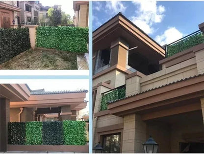 The EverShield Privacy Fence - Your Instant Green Retreat + 50% OFF