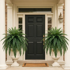 Forever Fresh Fern – Lush Greenery That Lasts Forever - 60% OFF