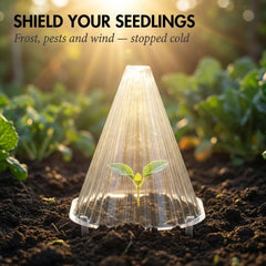 Clochwell™ – Ventilated PET Plant Cloches for Frost, Pests & Wind Protection + 50% OFF