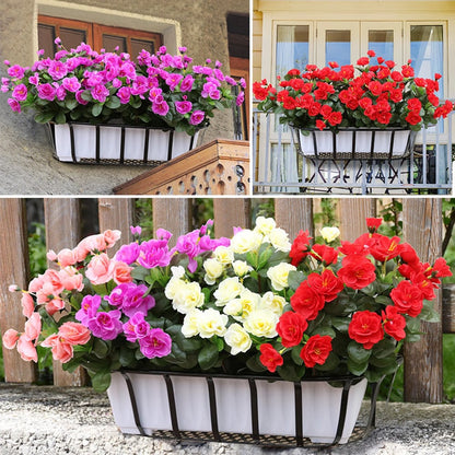 EverBloom Azaleas - A Perfect Garden, Zero Work + 1+1 FREE