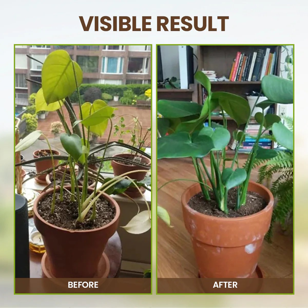 Loamcroft™ – Organic Soil Activator for Healthier Roots & Vibrant Plant Growth + 50% OFF