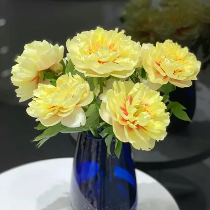 The Empress Peony Collection - A Royal Garden, Effortlessly - 1+1 FREE