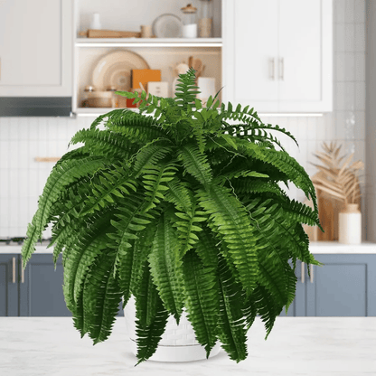 Forever Fresh Fern – Lush Greenery That Lasts Forever - 60% OFF