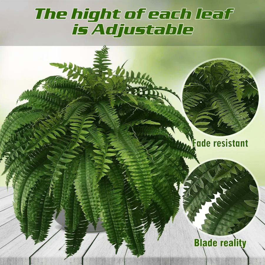 Forever Fresh Fern – Lush Greenery That Lasts Forever - 60% OFF