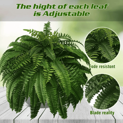 Forever Fresh Fern – Lush Greenery That Lasts Forever - 60% OFF