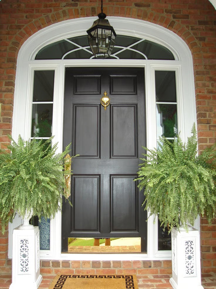Forever Fern - Bring nature home without the maintenance. 50% OFF
