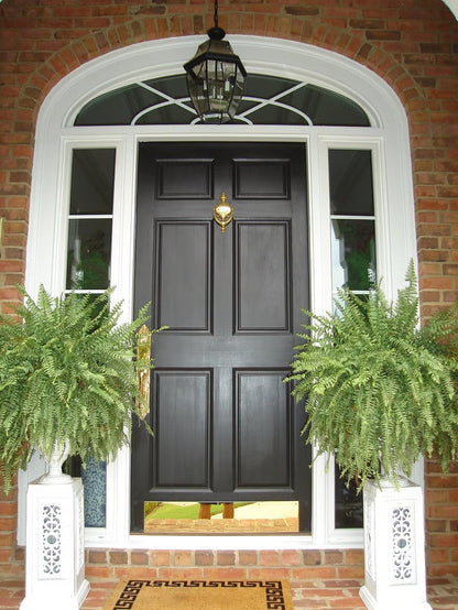 Forever Fern - Bring nature home without the maintenance. 50% OFF