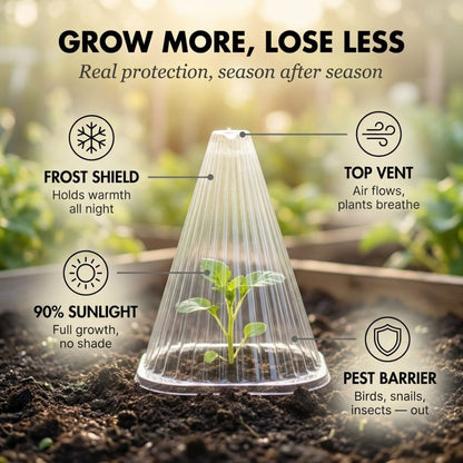 Clochwell™ – Ventilated PET Plant Cloches for Frost, Pests & Wind Protection + 50% OFF