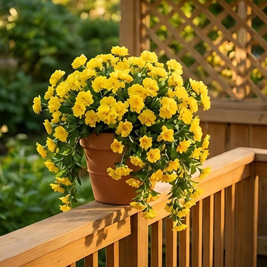Verdara™ – UV-Resistant Outdoor Artificial Flowers, No-Fade Colors, Zero Maintenance + 50% OFF