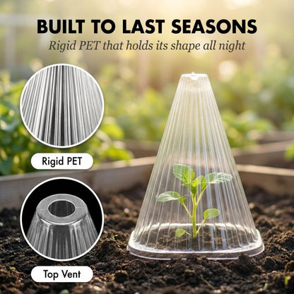 Clochwell™ – Ventilated PET Plant Cloches for Frost, Pests & Wind Protection + 50% OFF