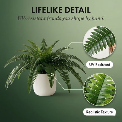 Forever Fresh Fern – Lush Greenery That Lasts Forever - 60% OFF