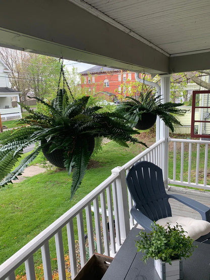 Forever Fern - Bring nature home without the maintenance. 50% OFF