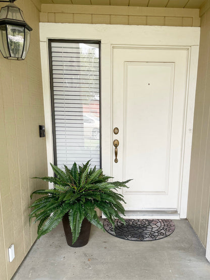 Forever Fresh Fern – Lush Greenery That Lasts Forever - 60% OFF