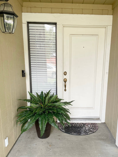 Forever Fresh Fern – Lush Greenery That Lasts Forever - 60% OFF
