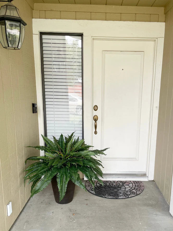 Forever Fern - Bring nature home without the maintenance. 50% OFF