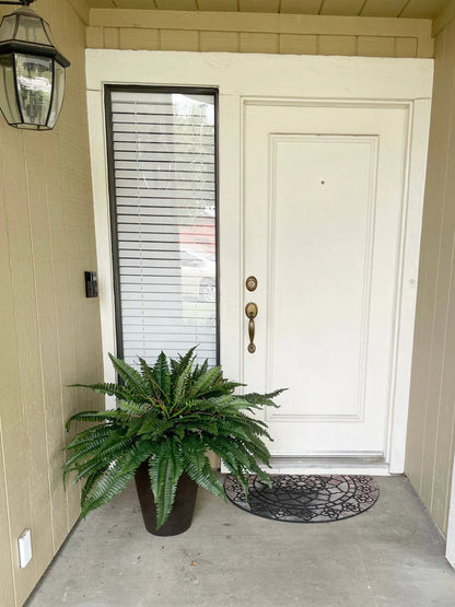 Forever Fern - Bring nature home without the maintenance. 50% OFF