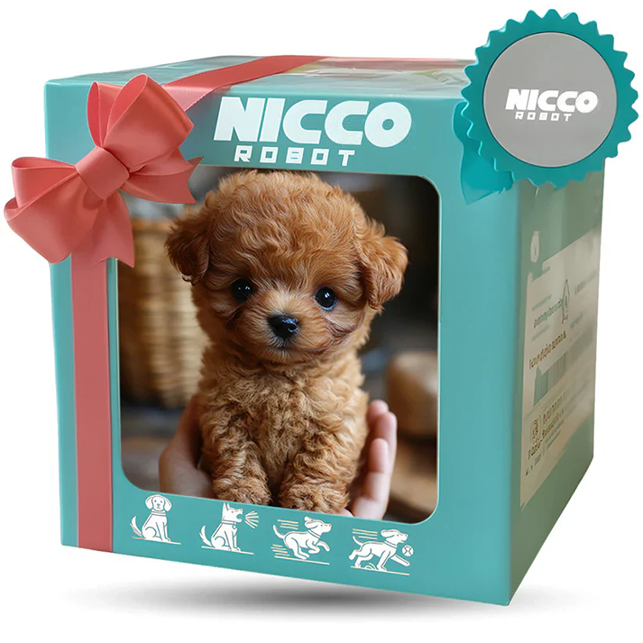 Nicco: End Loneliness. Start Living + 50% OFF